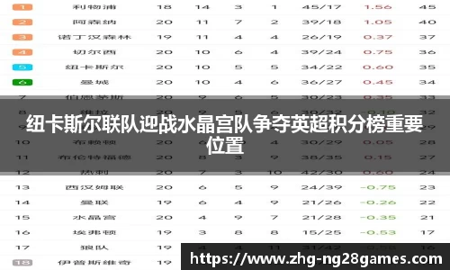 纽卡斯尔联队迎战水晶宫队争夺英超积分榜重要位置